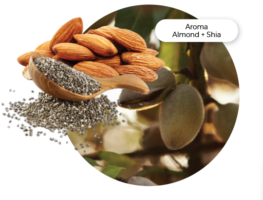 Aroma Almond + Shea
