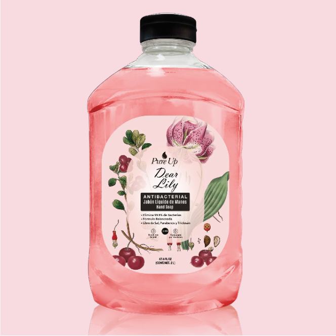 Jabón líquido de manos Refill Dear Lily 2L